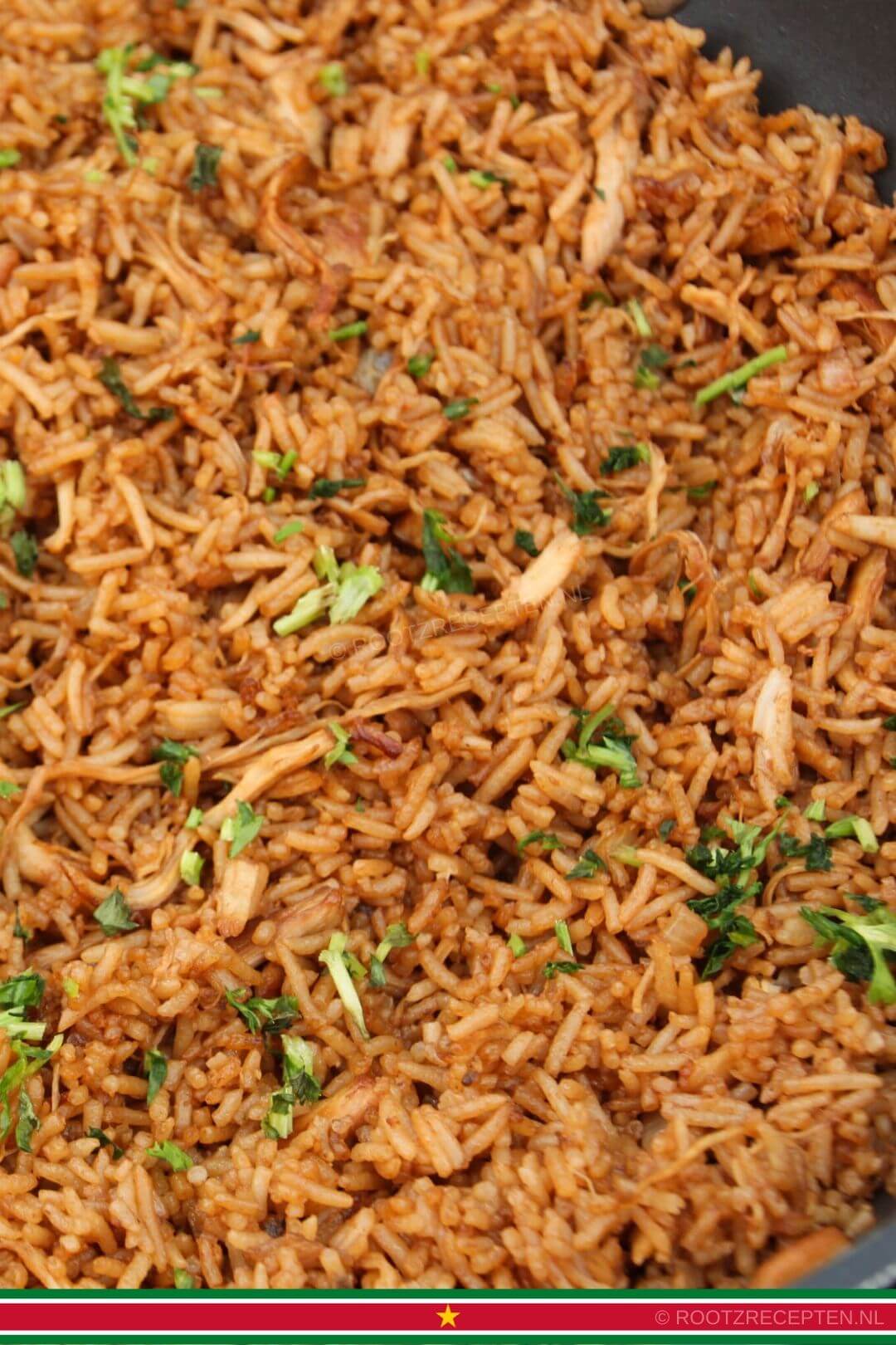 Surinamese Nasi close-up