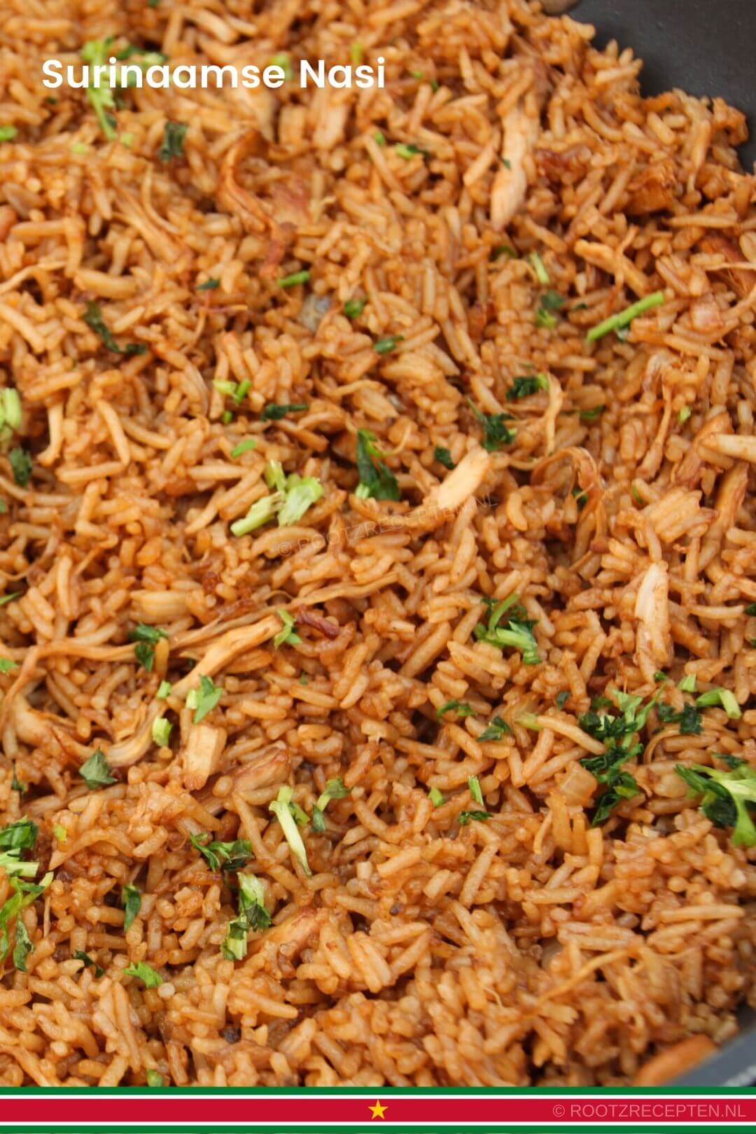 Surinaamse Nasi close-up